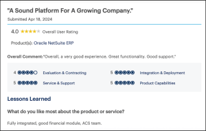 user review NetSuite implementation for growing company